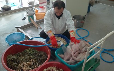 예천홍삼유황오리 이미지