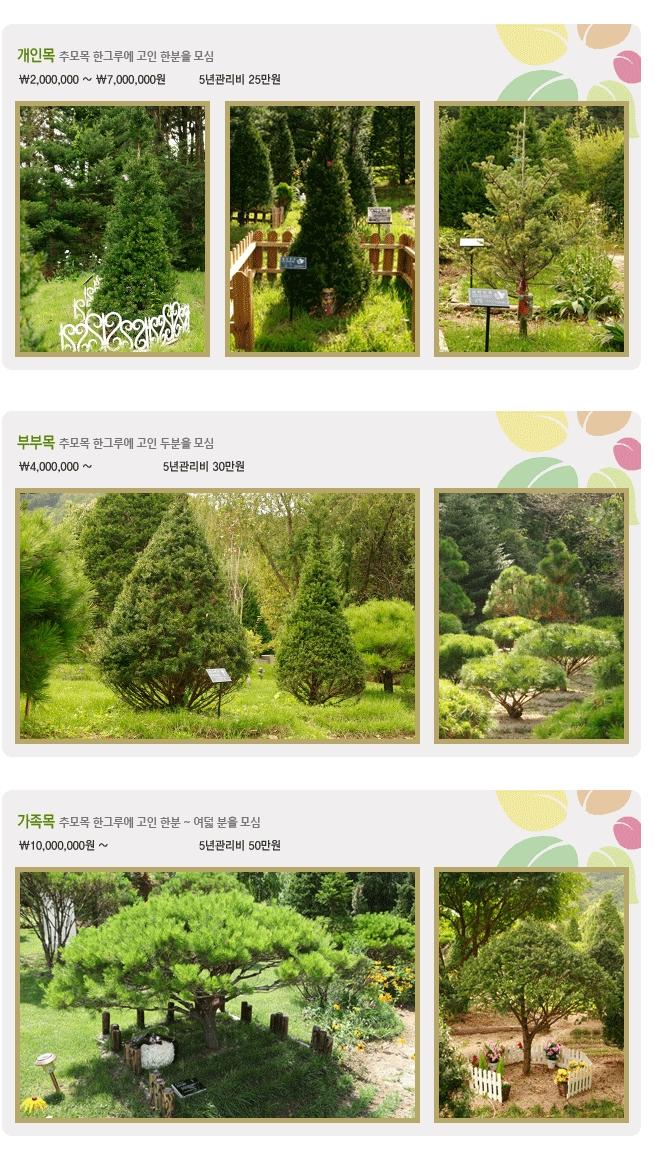 서울장의장례토탈 이미지
