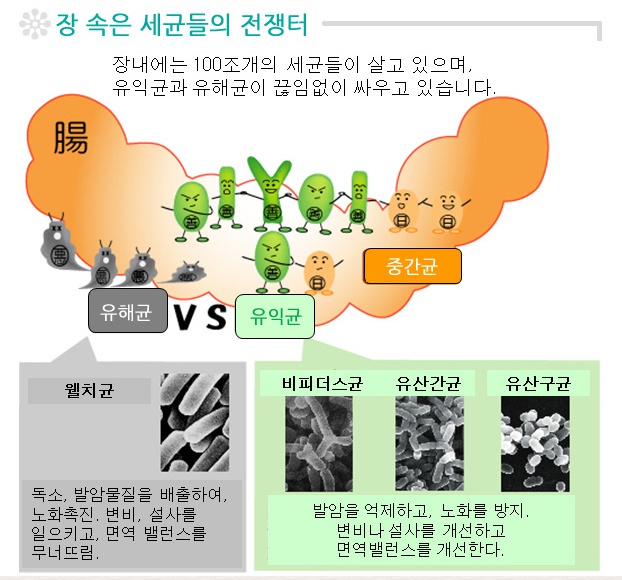 바이오밀(주) 이미지