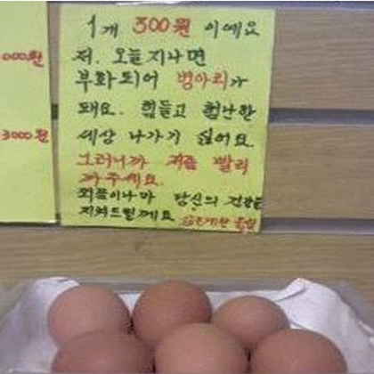 진수계란 이미지