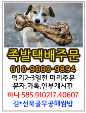 뚱닭뚱닭 이미지