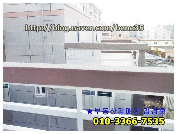 외대갈매기 이미지
