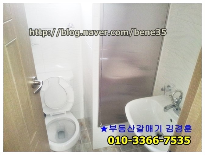 외대갈매기 이미지