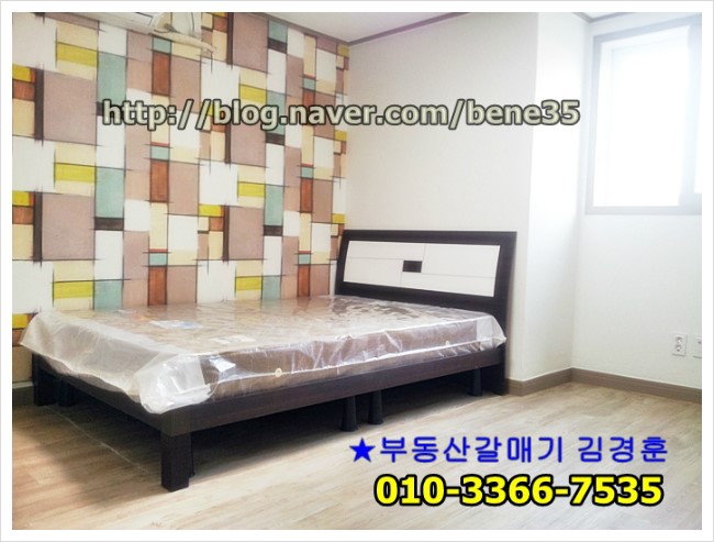외대갈매기 이미지