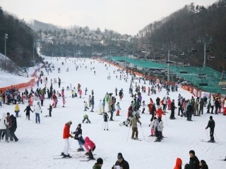 GO스키 이미지