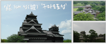스타항공여행사 이미지