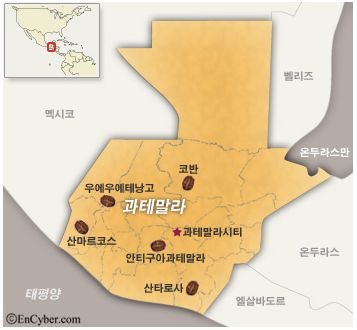 세이커피 이미지