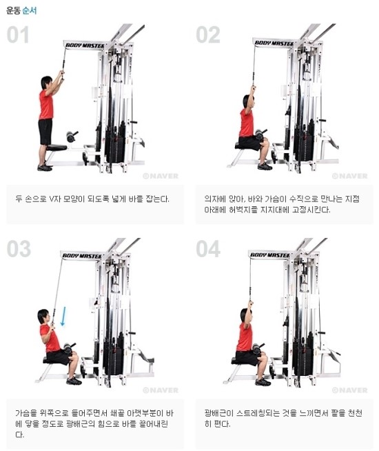 아이비피티 이미지