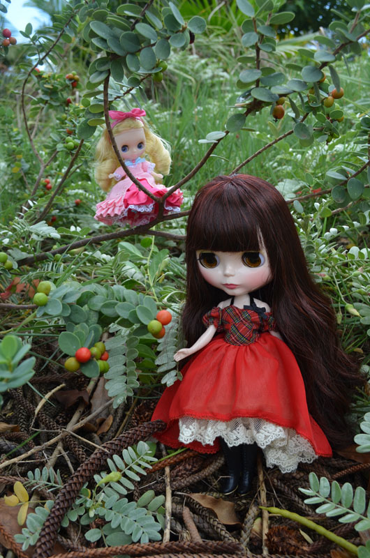레드애플(RED apple) 이미지