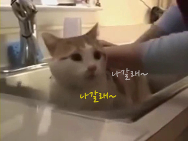 나갈래 이미지