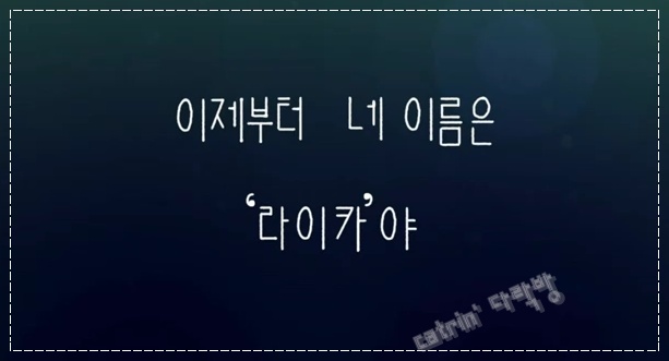 큐제이(QJ) 이미지