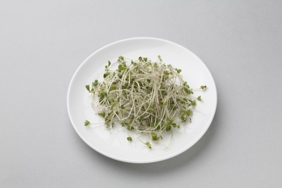 장수식품 이미지