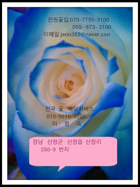산청꽃집 이미지