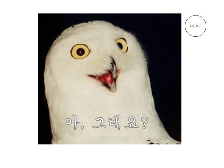 애드문 이미지