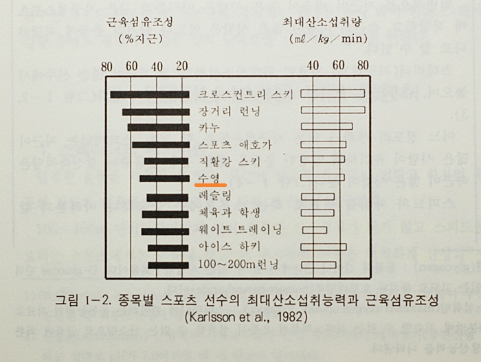 딴지문화사 이미지