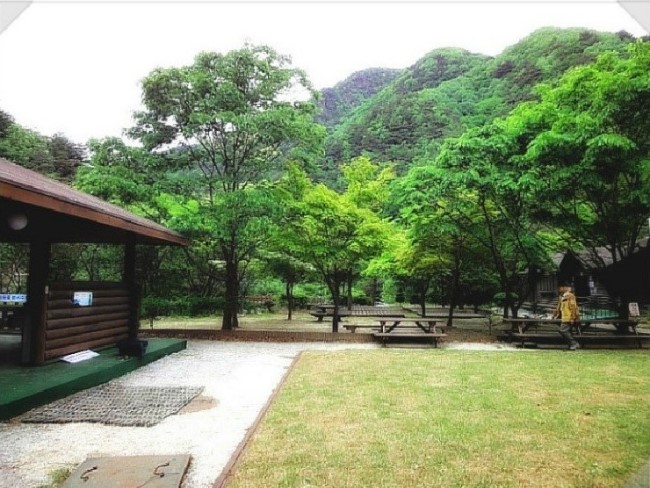 소백산국립공원 남천야영장 이미지