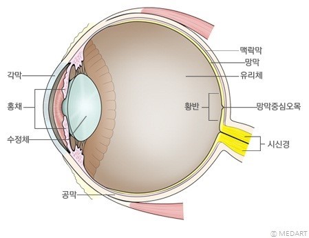 공안과병원 이미지