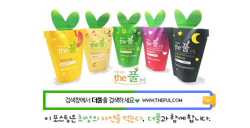 더풀 이미지
