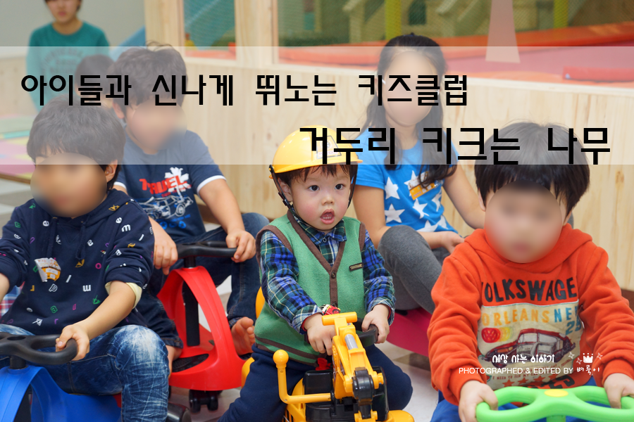 키크는 나무 이미지