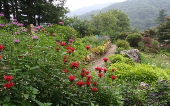 황산골 이미지