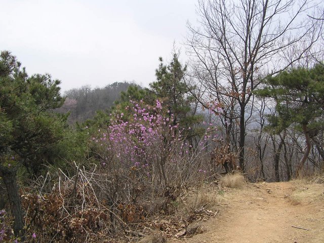 길훈슈퍼 이미지
