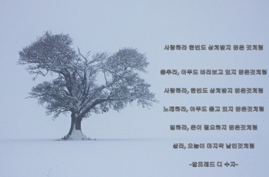 예진이사익스프레스 이미지