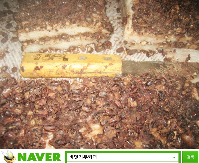 시루떡방아간 이미지