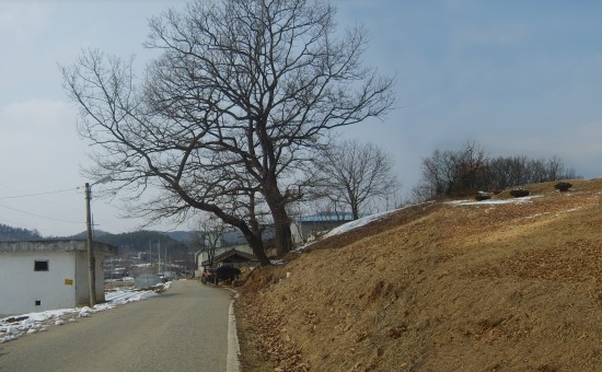 송학주유소 이미지