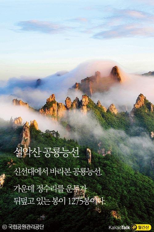 쌍용할인마트 이미지