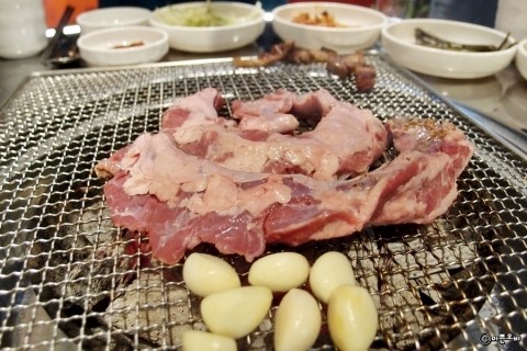 황소고집 이미지