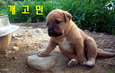 디자인헤윰 이미지