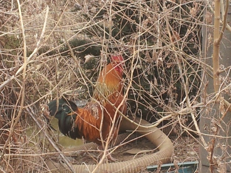 태성조경산업 이미지