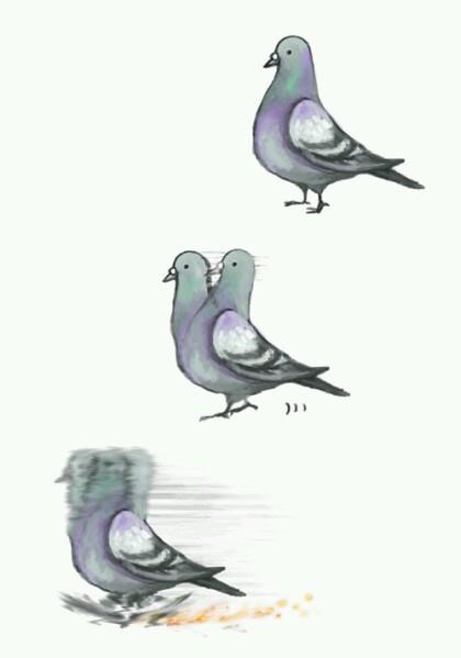 구구구 이미지