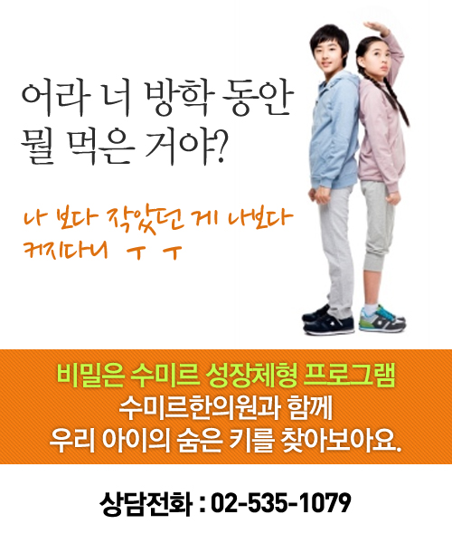 수미르 이미지