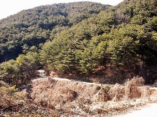 서경인테리어 이미지