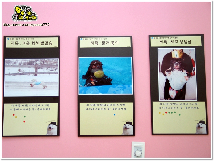 스타미용타운 이미지