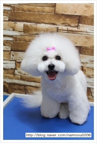 아또 이미지