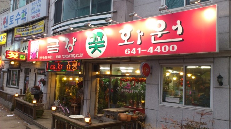 강원꽃화원 이미지