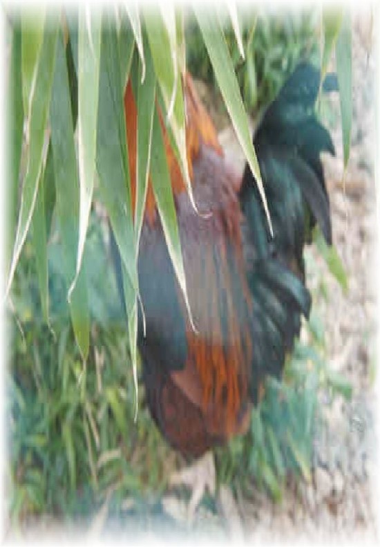 수건축인테리어 이미지