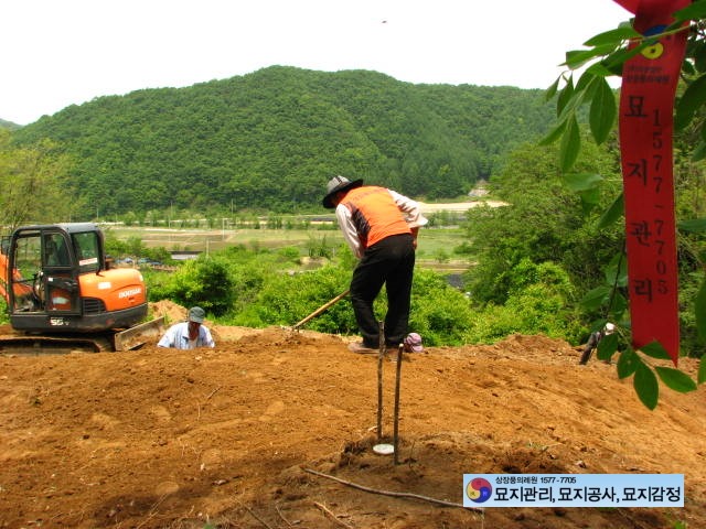 순천장의사 이미지