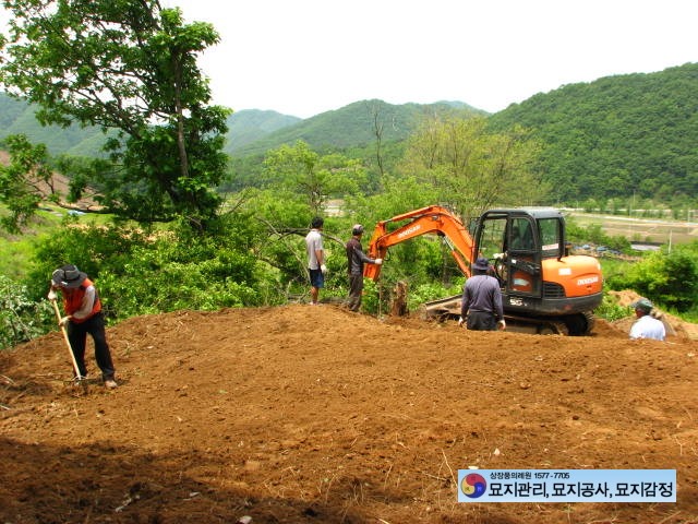 순천장의사 이미지