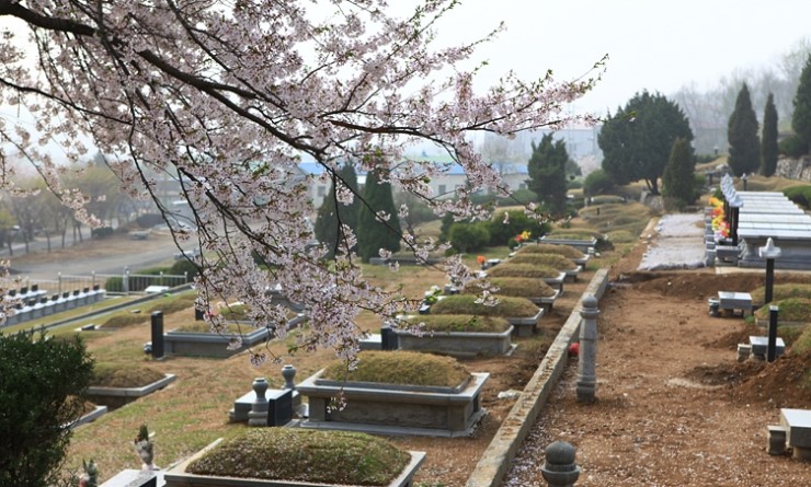 스카이수목장납골당공원묘지 이미지