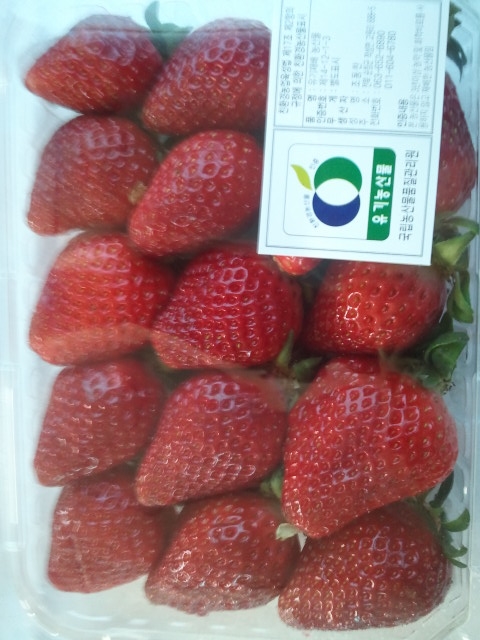 명월팜 이미지