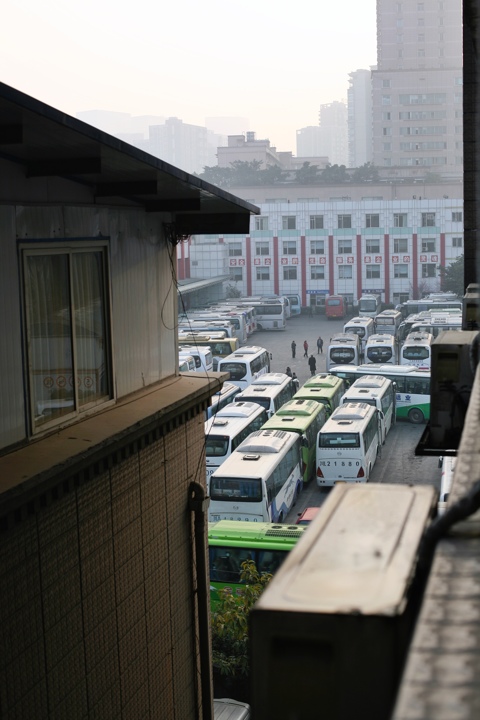 성도반점 이미지