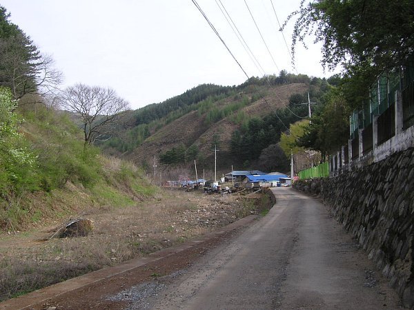 두촌초등학교 이미지