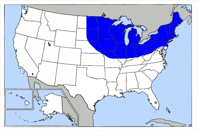 지역의 특성을 나타내는 미국의 각종 Belt [미국일주 자동차 여행] 네이버 블로그