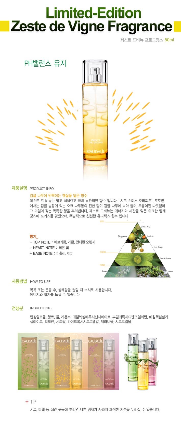 뉴제스트 이미지