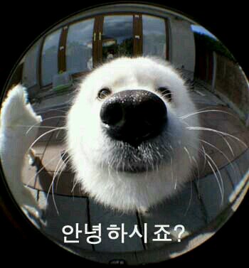 자잘자잘 이미지