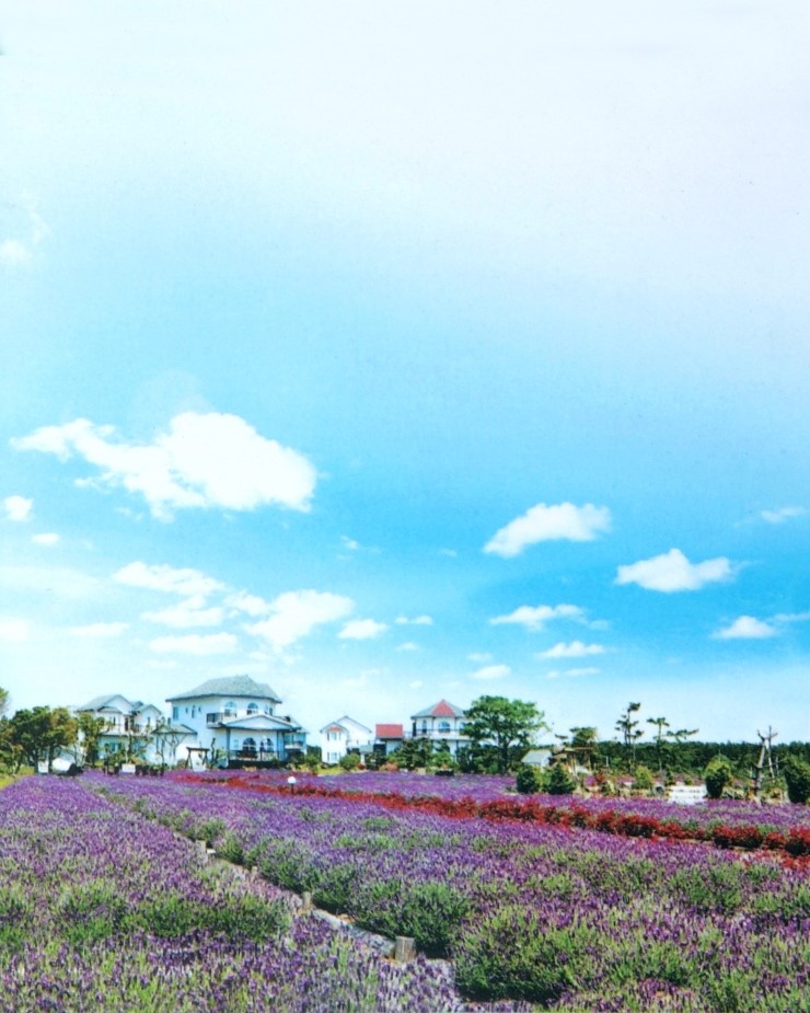 동산관광주 이미지