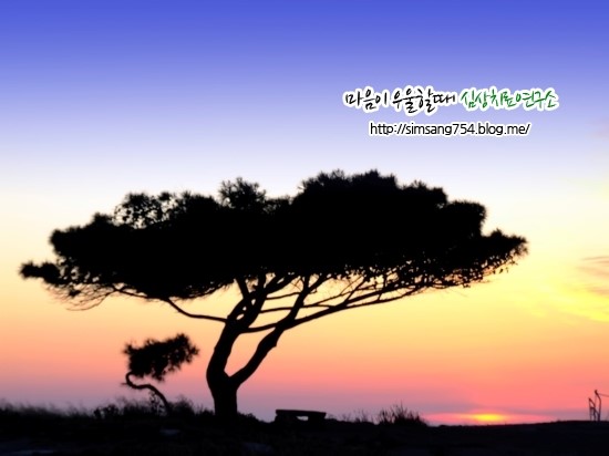 심상치료본원센터 이미지